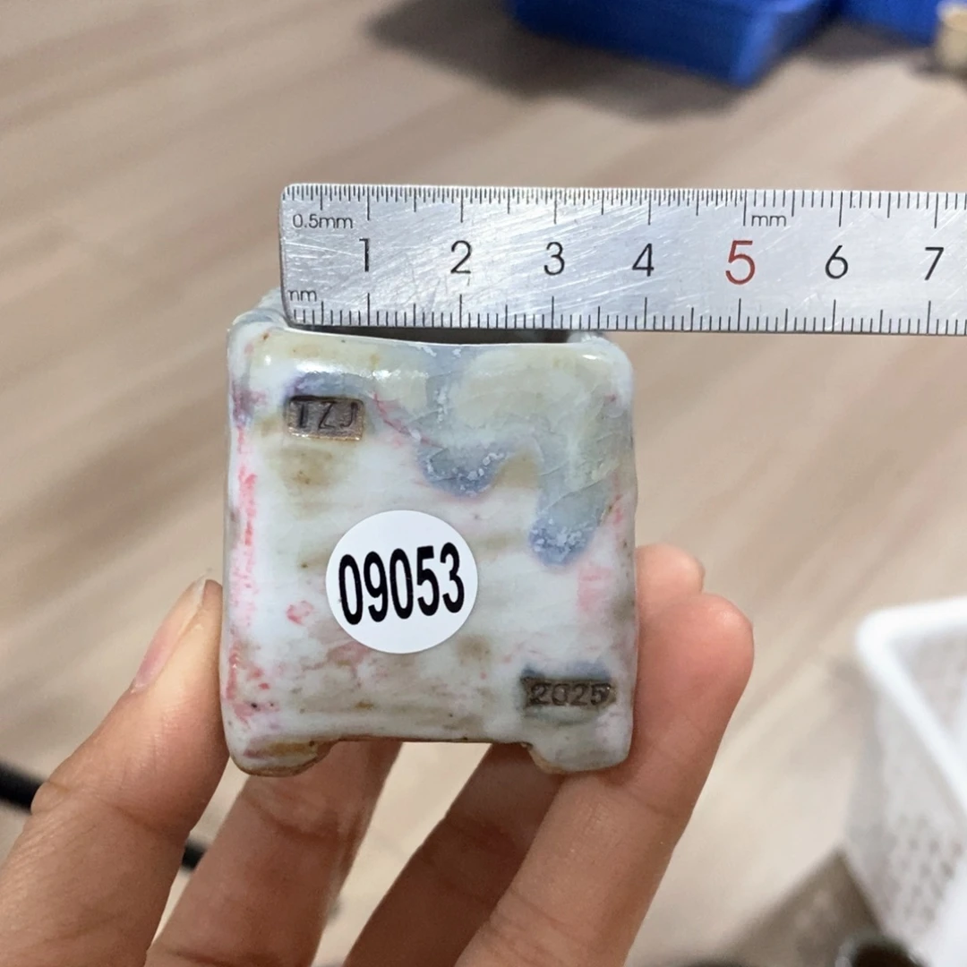 拍3送一个小礼物