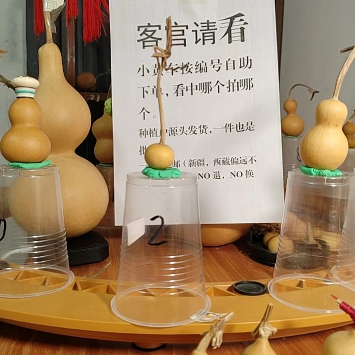 10号自助下单了吗？