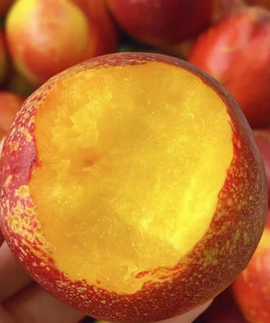 【顺丰包邮】蒙阴大油桃蜜桃脆甜多汁