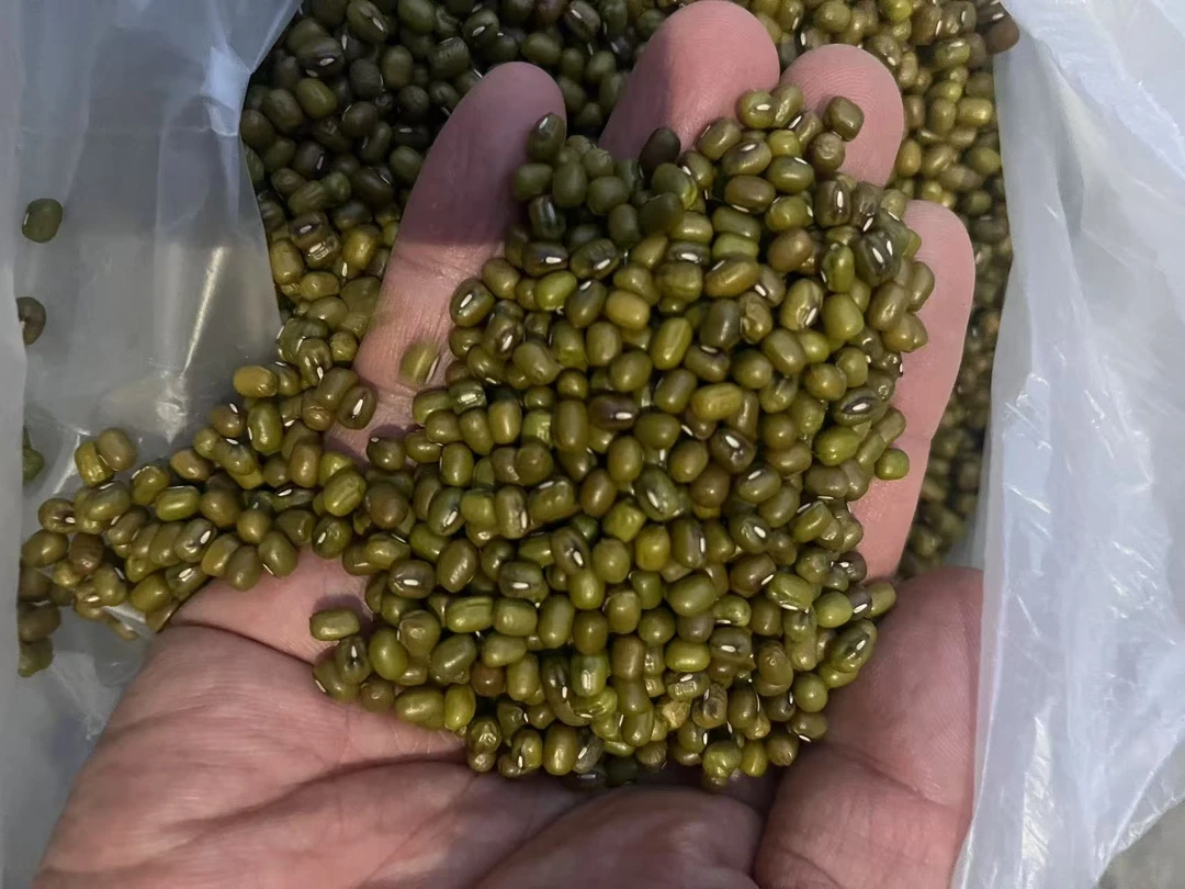 助农产品 绿豆1斤