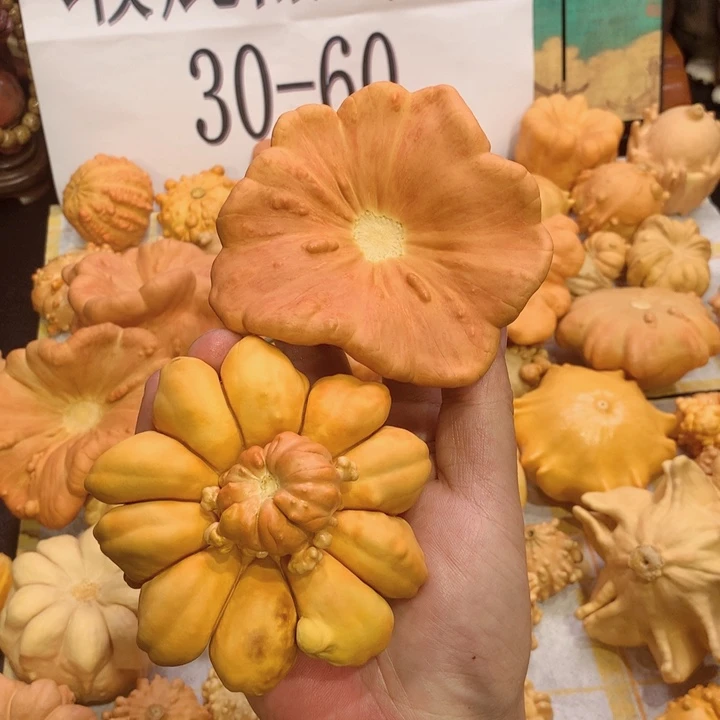 小***朵有机玻璃1111222211111