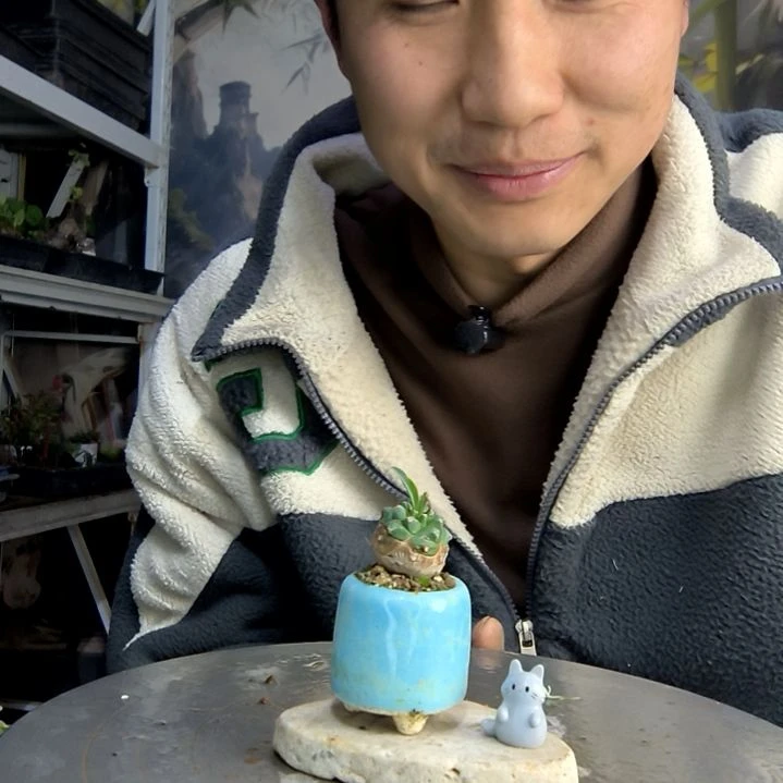 章*爪中青园艺一物一拍136