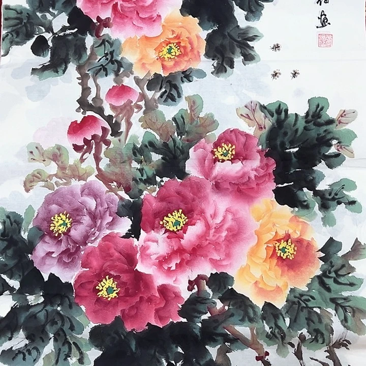 横款开播时间是早上