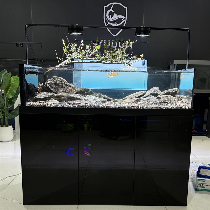 水刀蓝底滤极窄溪流缸金晶超白玻璃原生客厅鱼缸草缸兰寿缸南美缸