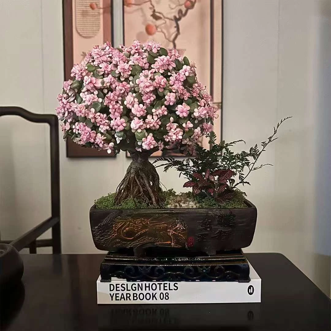 鹏程万里提根金枝玉叶+接水盘