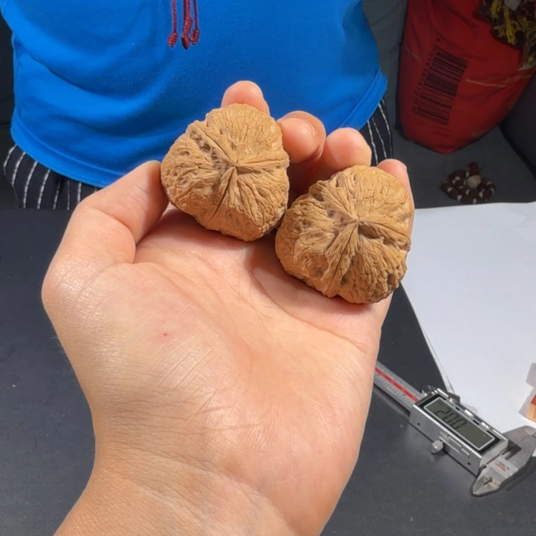 文玩核桃把件75号元宝三棱