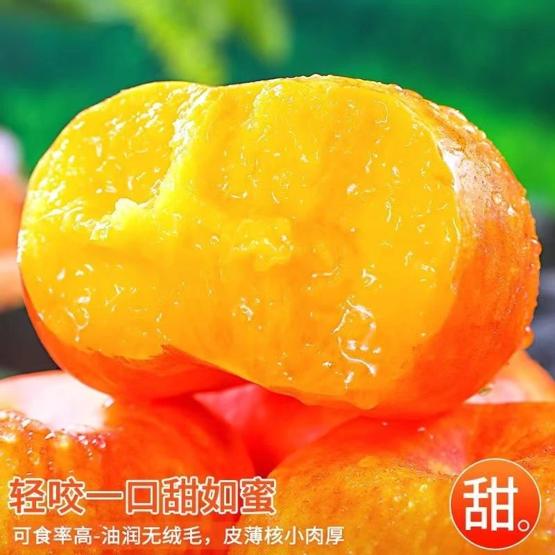 【EMS空运】精美礼盒装新疆石河子贵妃油蟠桃纯甜扁桃黄心果王18枚