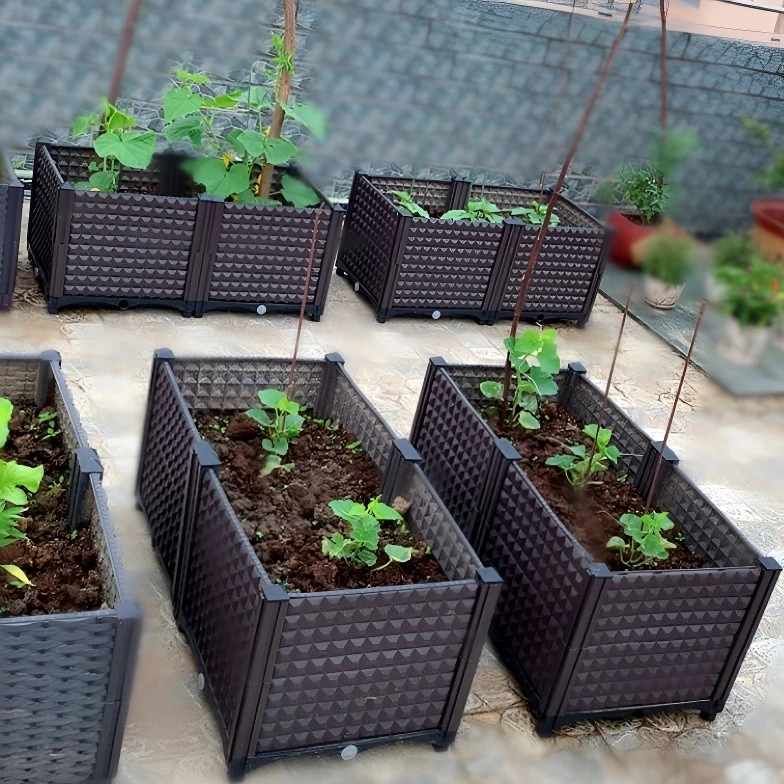 种菜专用花箱塑料大花盆楼顶阳台室内特大号种植箱长方形蔬菜户外