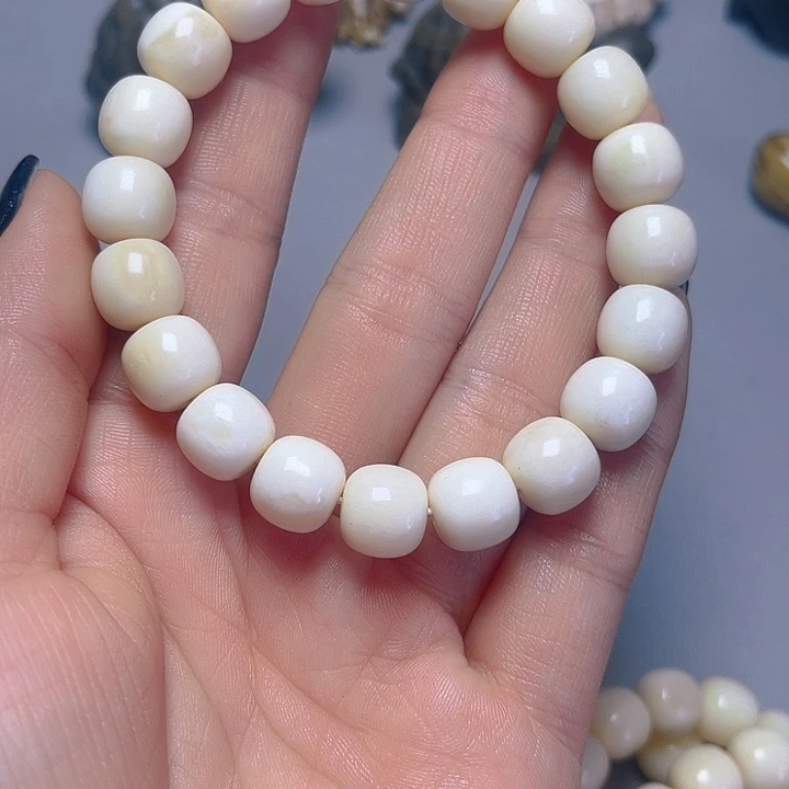 大果紫檀（缅甸花梨）