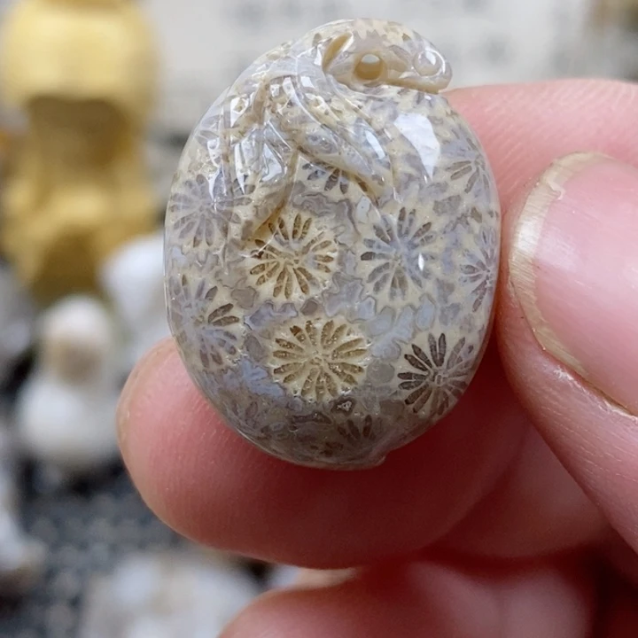 颈饰未镶嵌硅化珊瑚（珊瑚玉）小