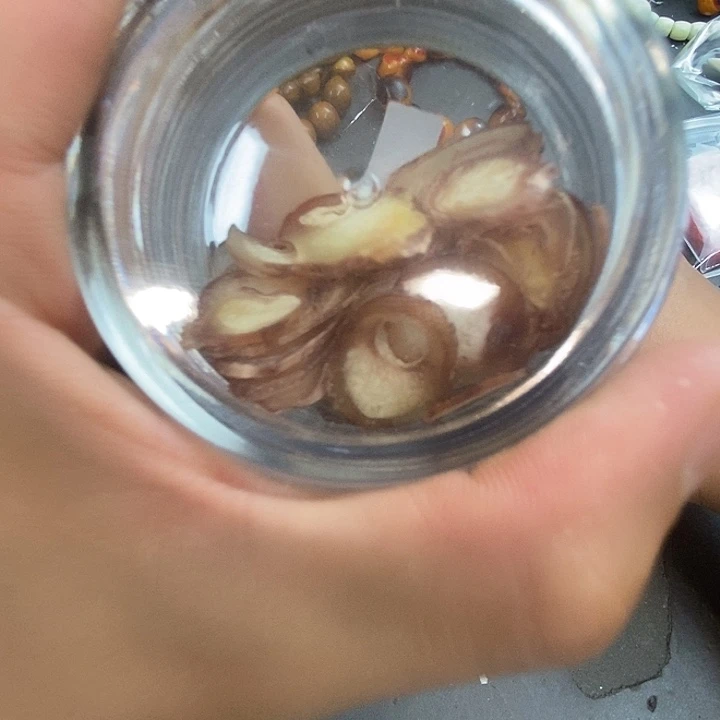 大果紫檀（缅甸花梨）362