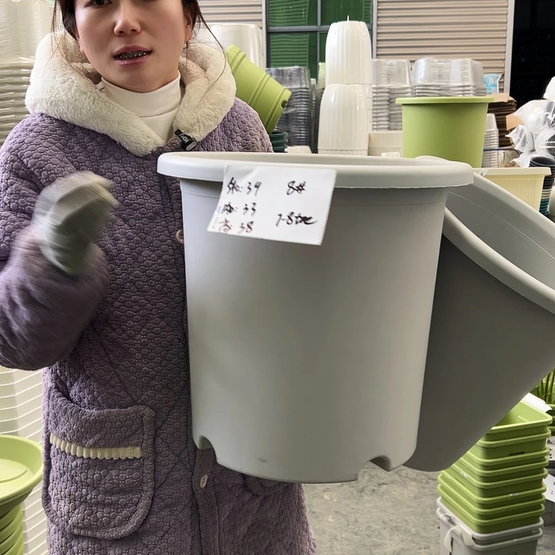 四季盆8#灰白5个无托