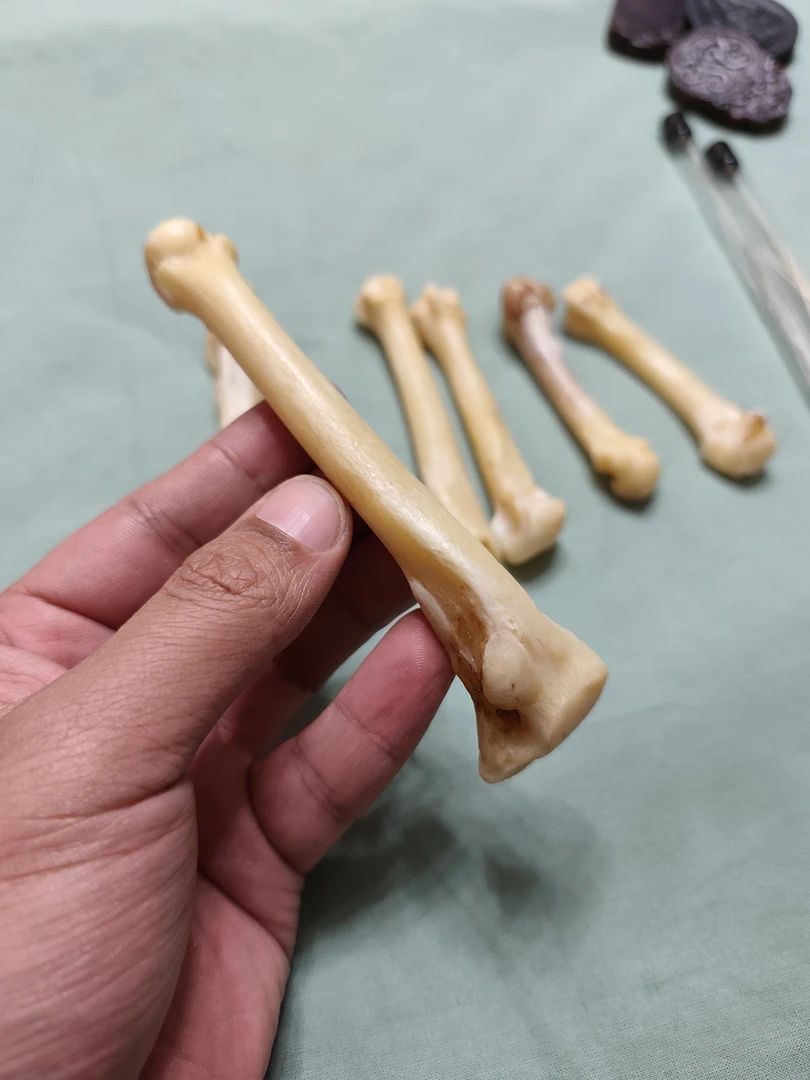 非金属亚克力手链 手工艺民俗，手工驼骨把件