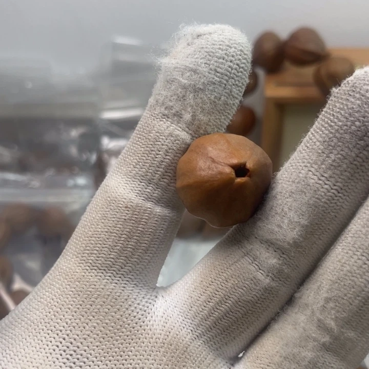 橄榄核手串/手链橄榄4花单子