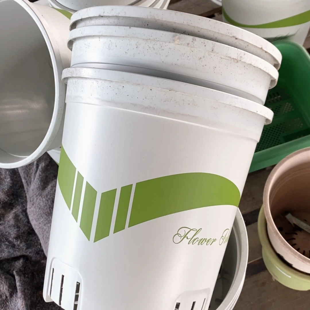 3个28口米色飘带落灰无托伊特（28×29）