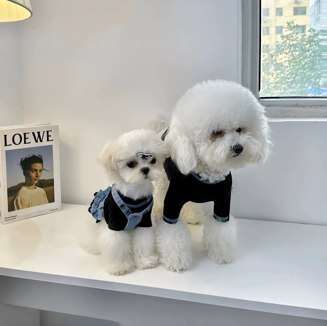 新款牛仔百褶背带裙宠物衣服约克夏马尔济斯