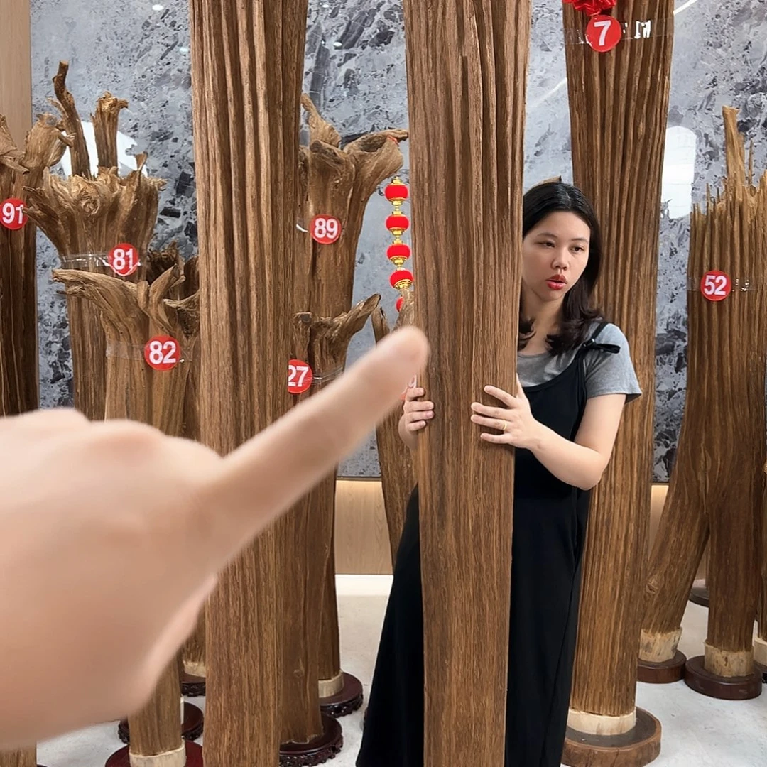 @***长沉香沉香碎屑天然沉香