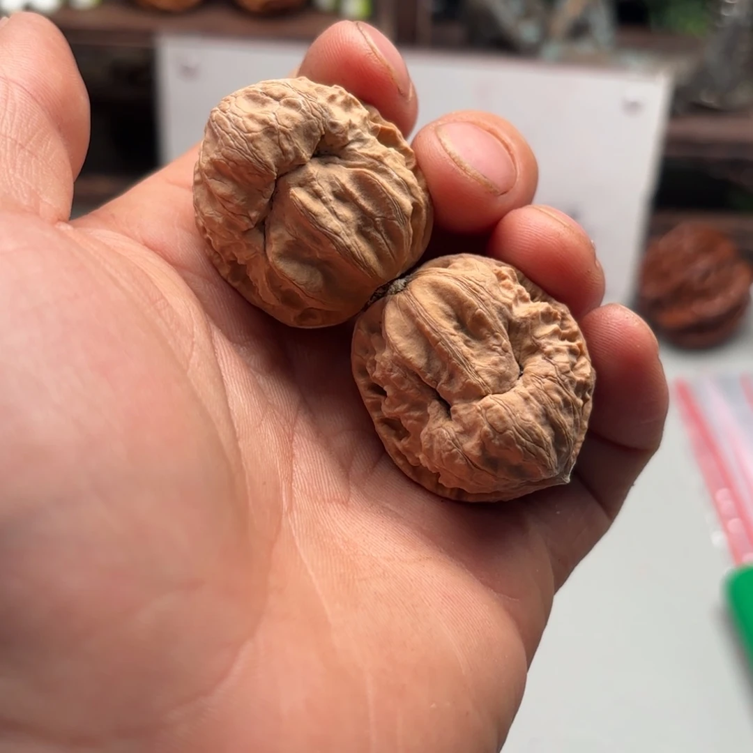 把件文玩核桃小蛙蛙242