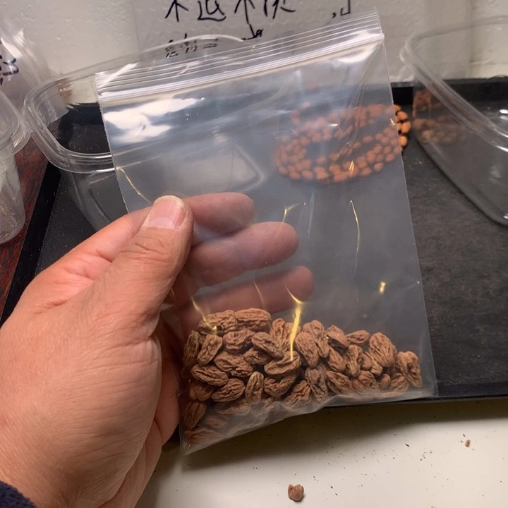 捡***驰文玩核桃吊坠野生精品小核桃散籽