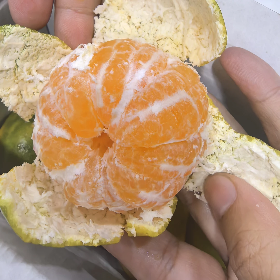 {顺丰次日达｝云端涌蜜橘礼盒装江西省