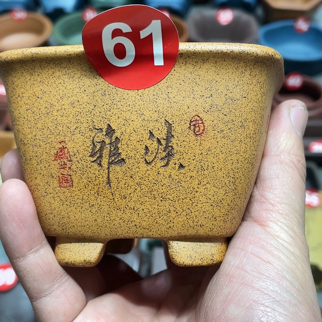秋***叶紫砂小盆8.5*5.5cmmmm