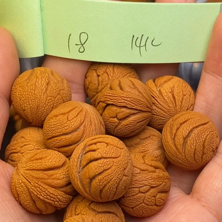 吊坠桃核秦岭龙纹桃核18尺寸