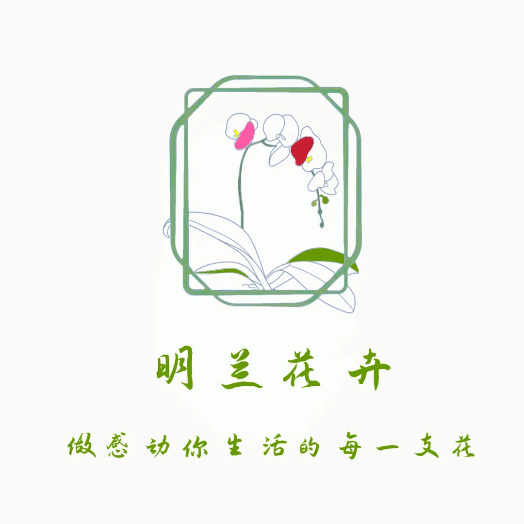 蝴蝶兰--【优雅】任意两颗包邮，只拍一颗发苗！！