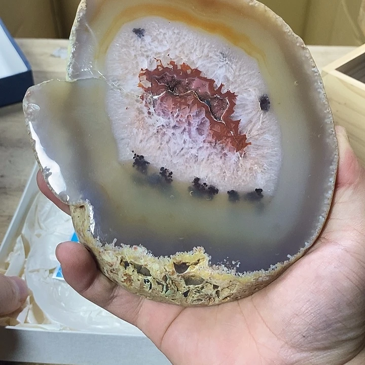 哈哈哈哈哈哈哈哈