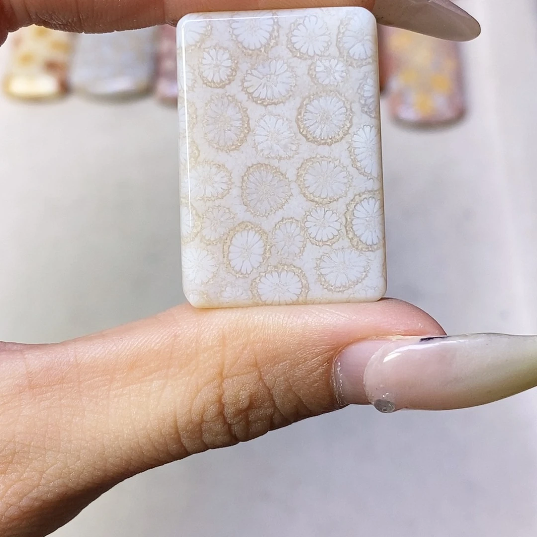 查罗石合金颈饰语**读