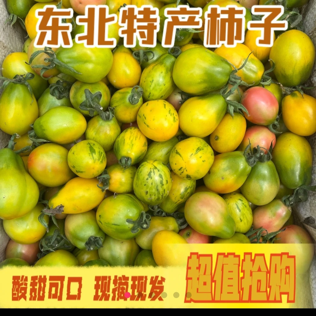 【顺丰包邮】黑龙江农家柿子黄柿子虎皮柿子红柿子酸甜可口坏果包赔