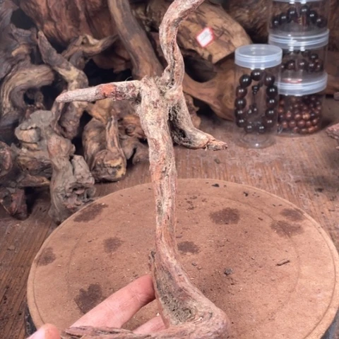 黄花梨/降香黄檀木**友