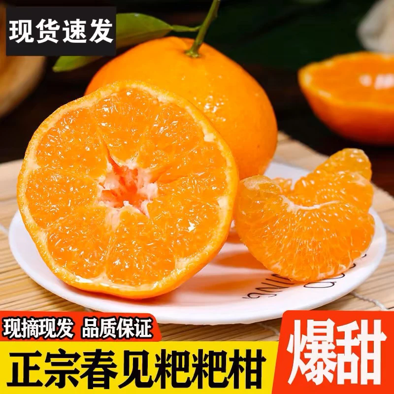 正宗四川春见耙耙柑5斤粑粑杷杷柑丑柑桔橘子应当季新鲜水果整箱