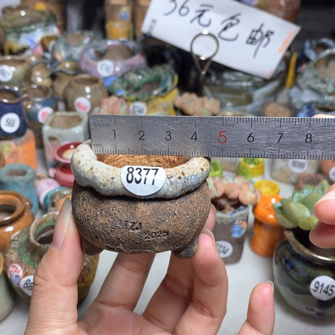 拍3送一个小礼物