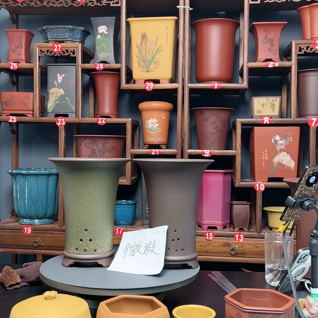 紫砂花盆晖**到紫砂花盆