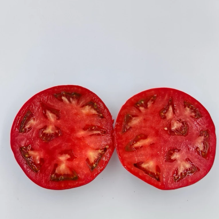 娟姐家自产草莓西红柿自然成熟酸甜多汁可生吃水果番茄