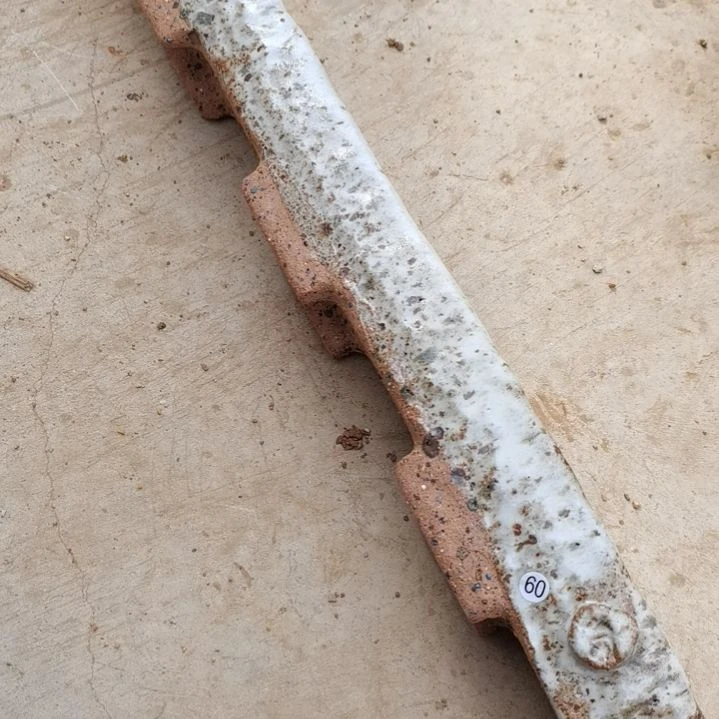 不**鱼专拍花盆255555566