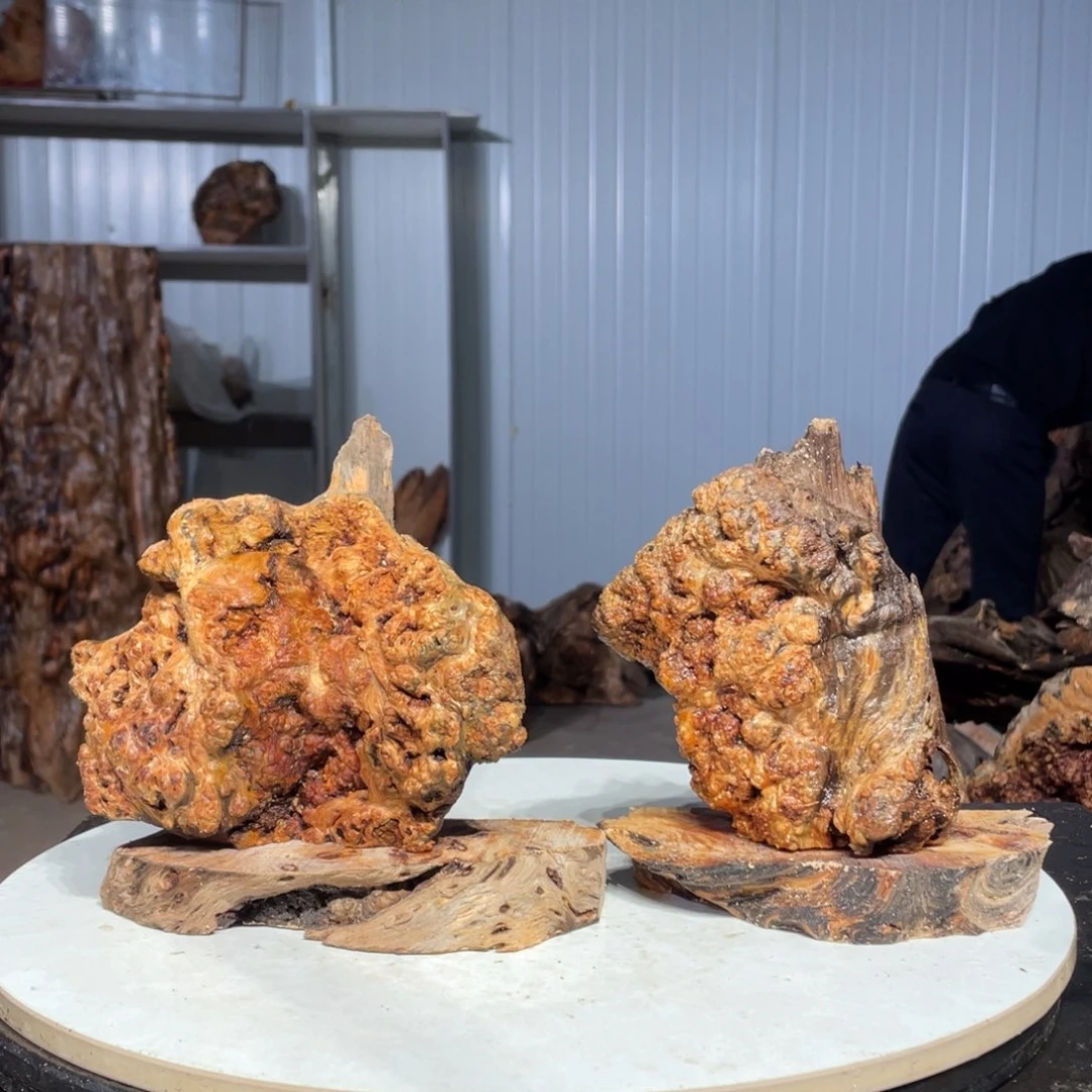 飞***宇木猛子琥珀木摆件59