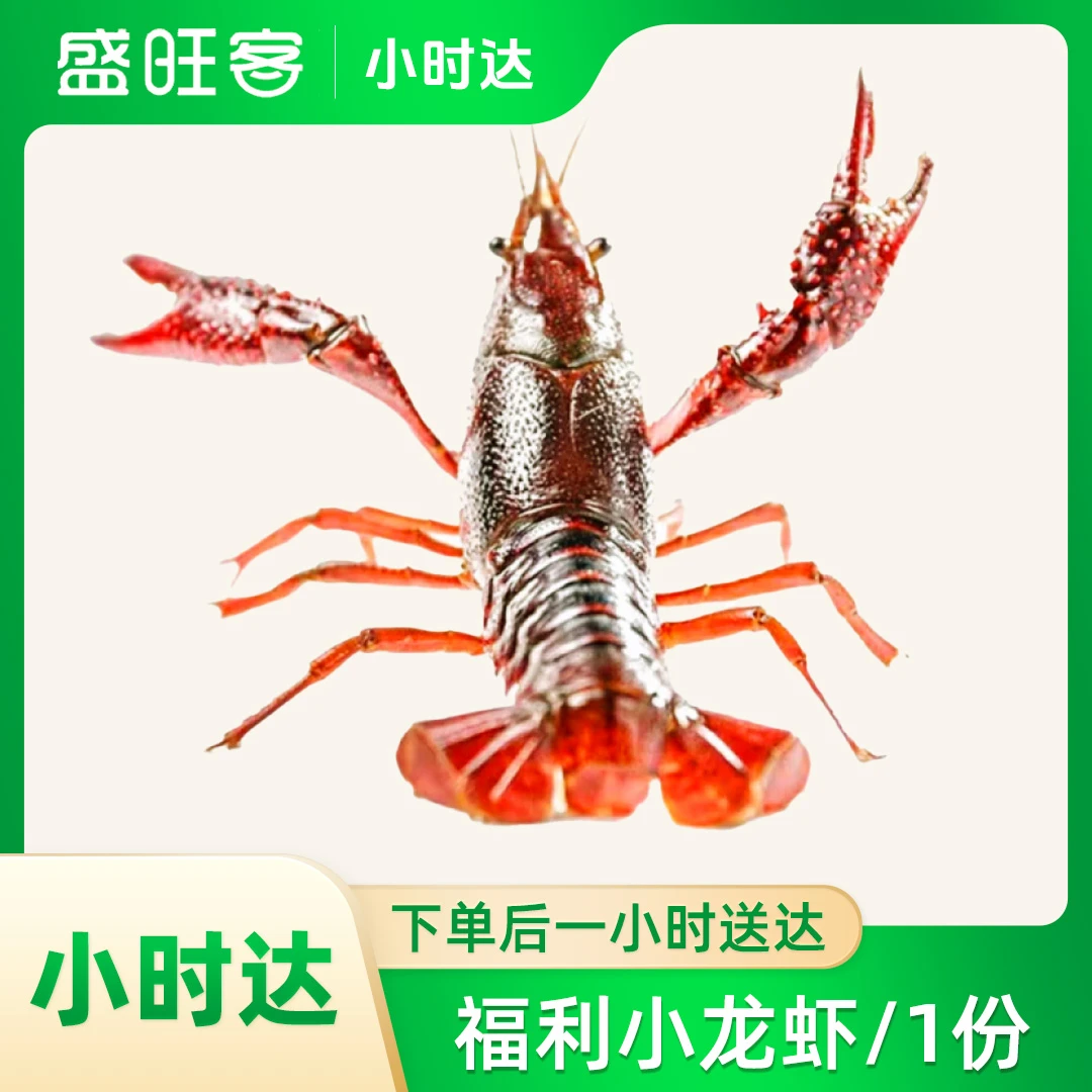 限购福利小龙虾/1份(买四斤龙虾送麒麟瓜一个约2000g）