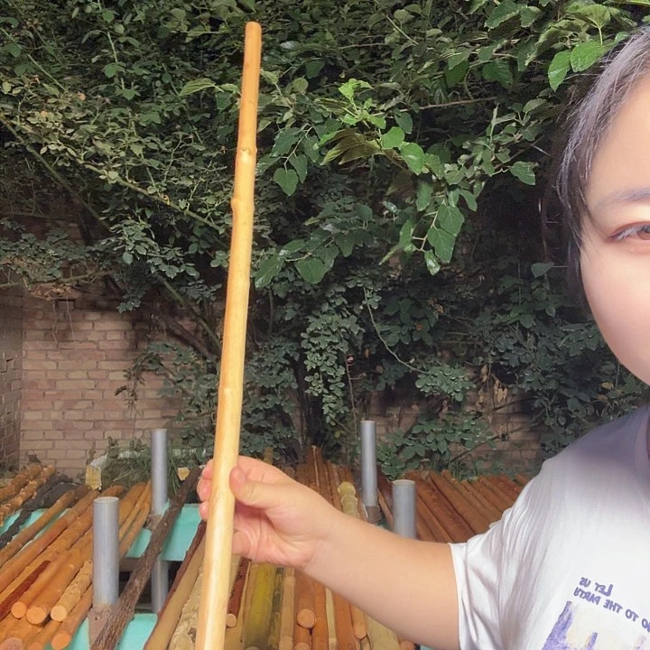 战*风牛筋木鞭杆