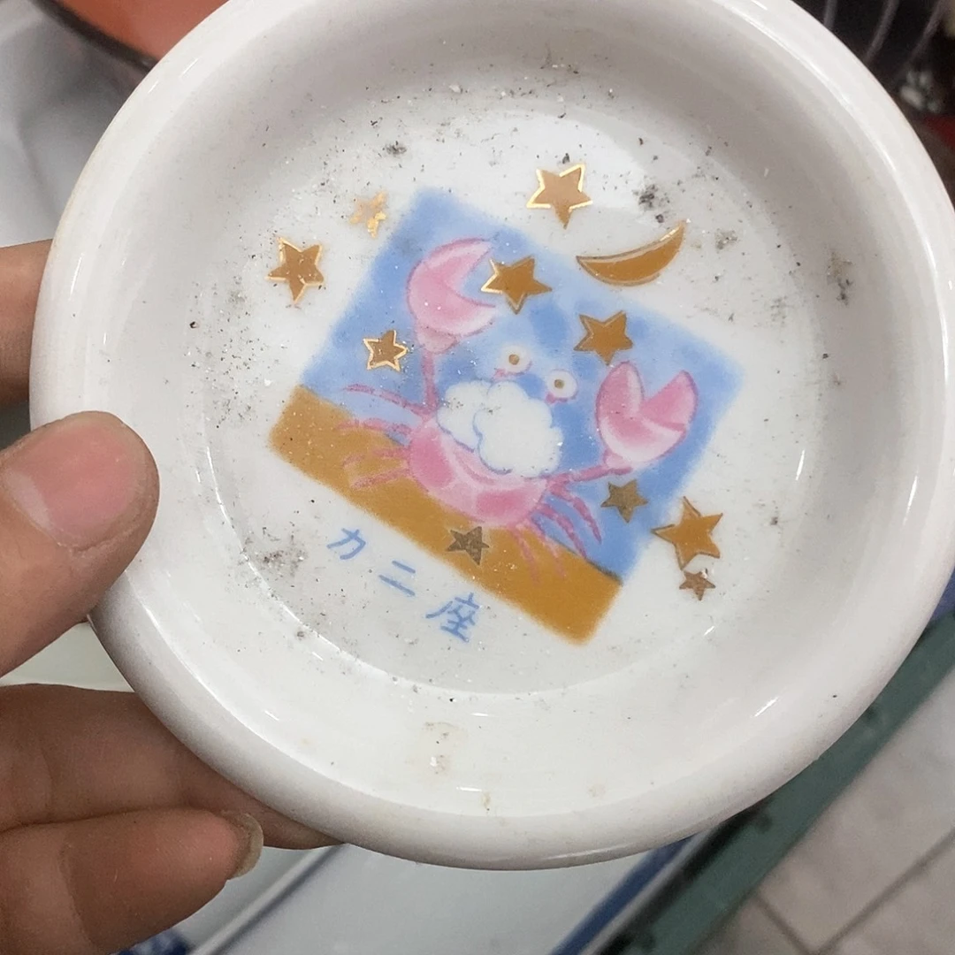 瓷片幼****草精美瓷器。。。。。。。。