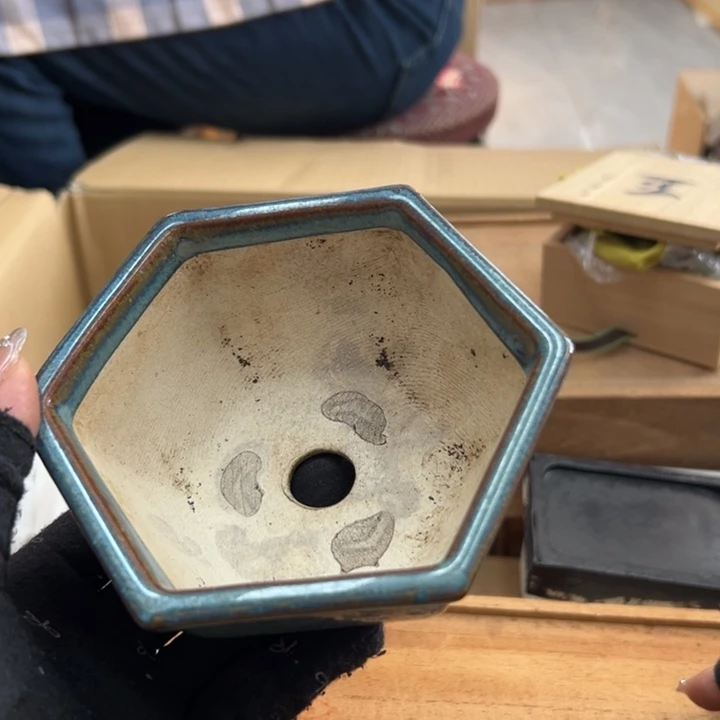 用****5谢谢你的关心和支持