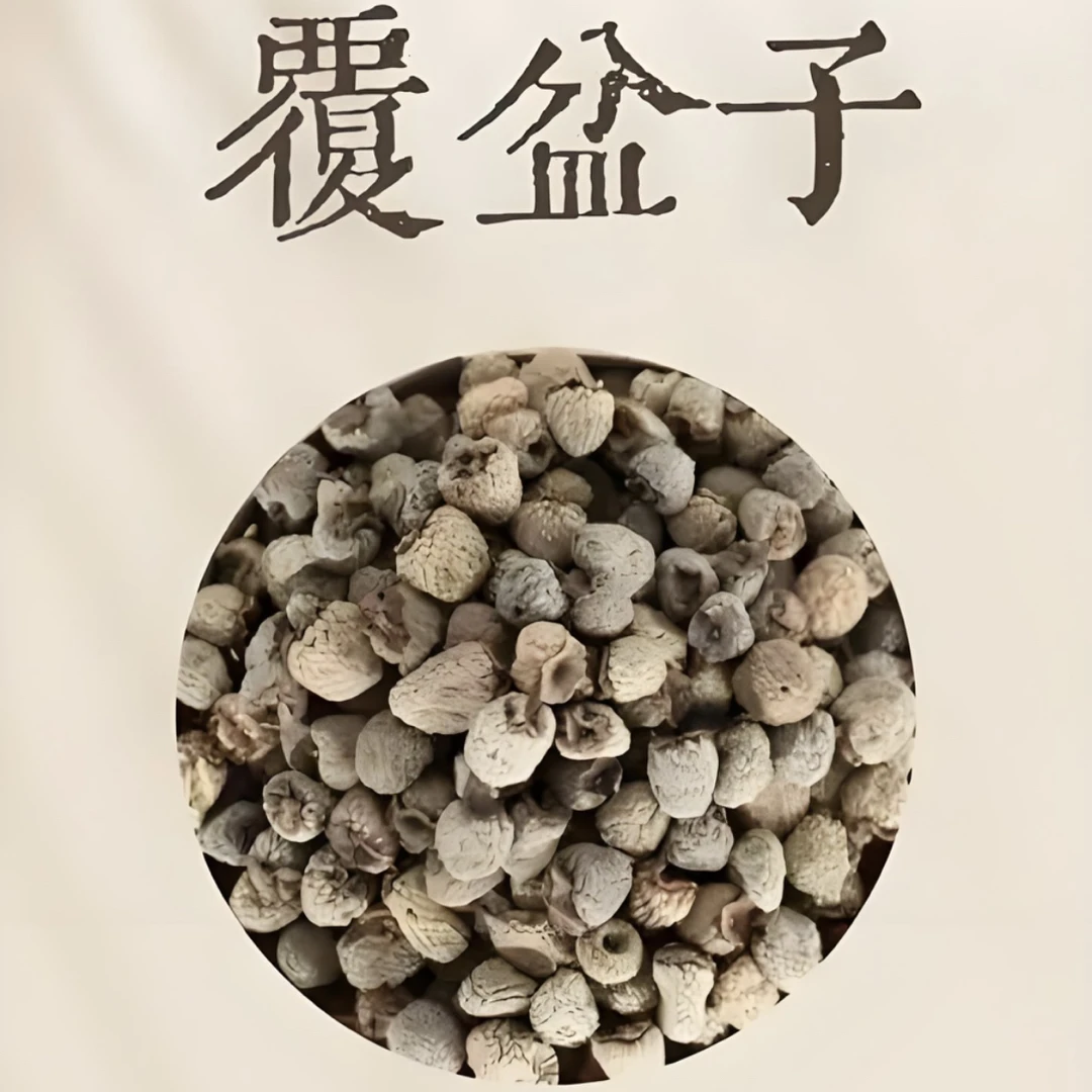 甘肃非种植覆棚子100克包邮
