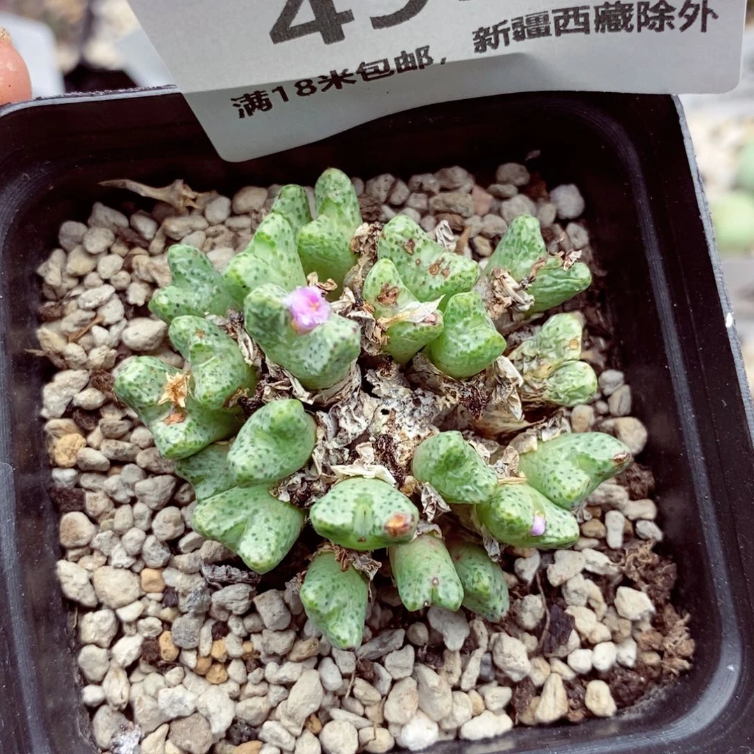 4936。