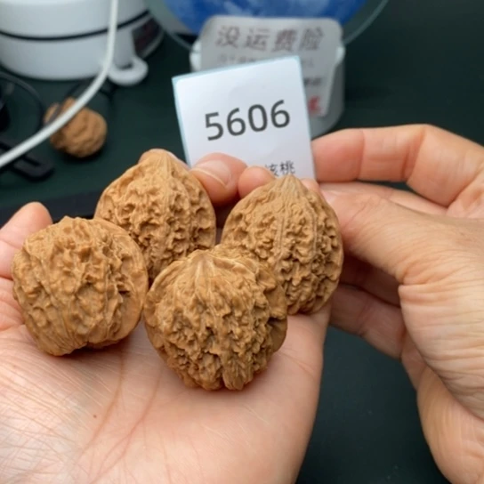 把件文玩核桃137狮子头35满天星5606