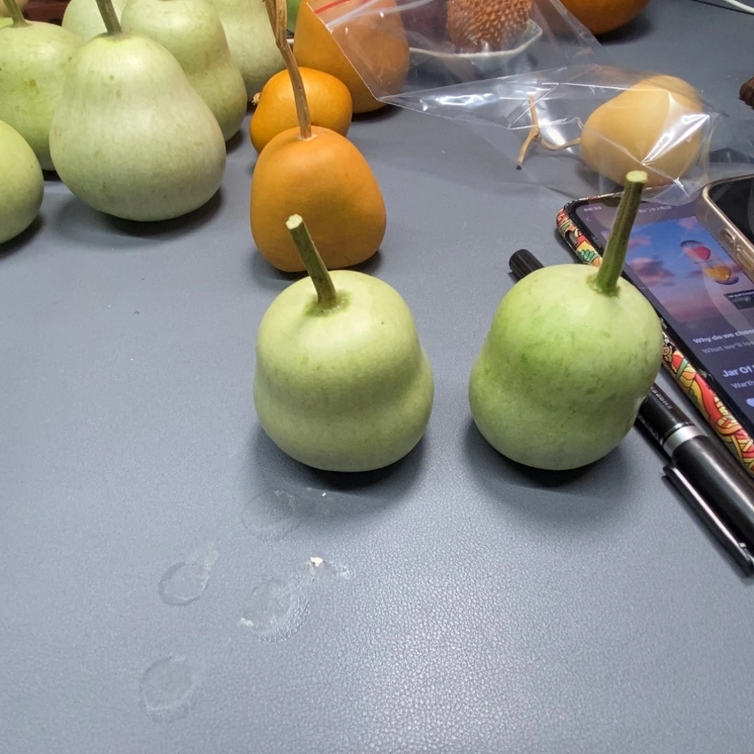 '***•有机玻璃葫芦山风景秀丽而闻名