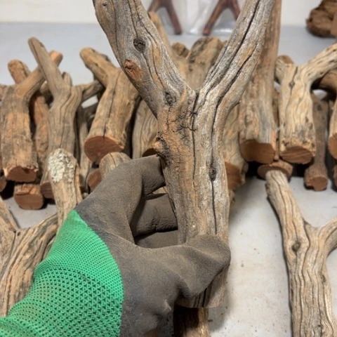 大果紫檀（缅甸花梨）百*长