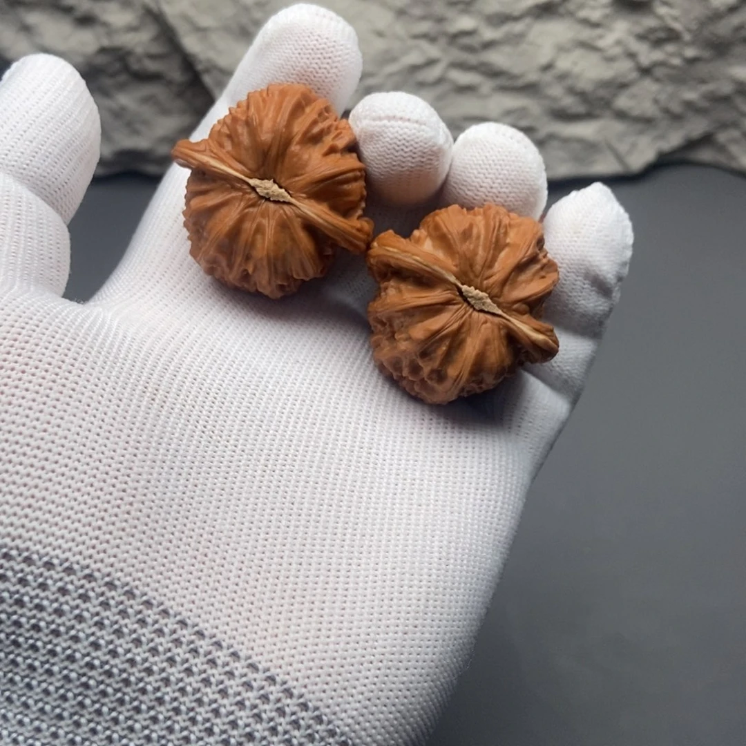 文玩核桃吊坠39白狮子