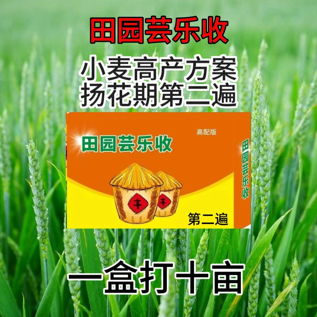 小麦第二遍（扬花期）打10亩