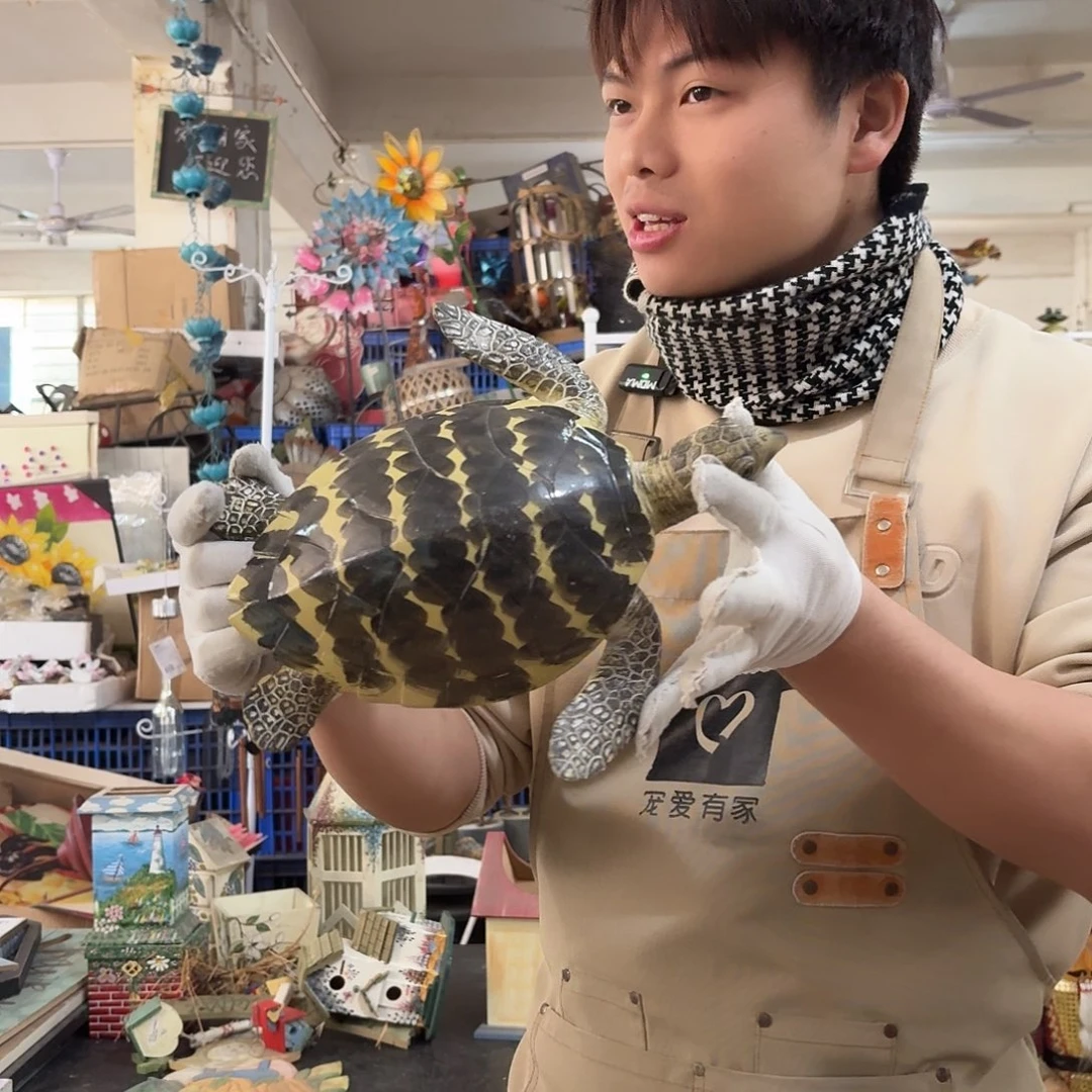 核桃木/黑胡桃（胡桃木）