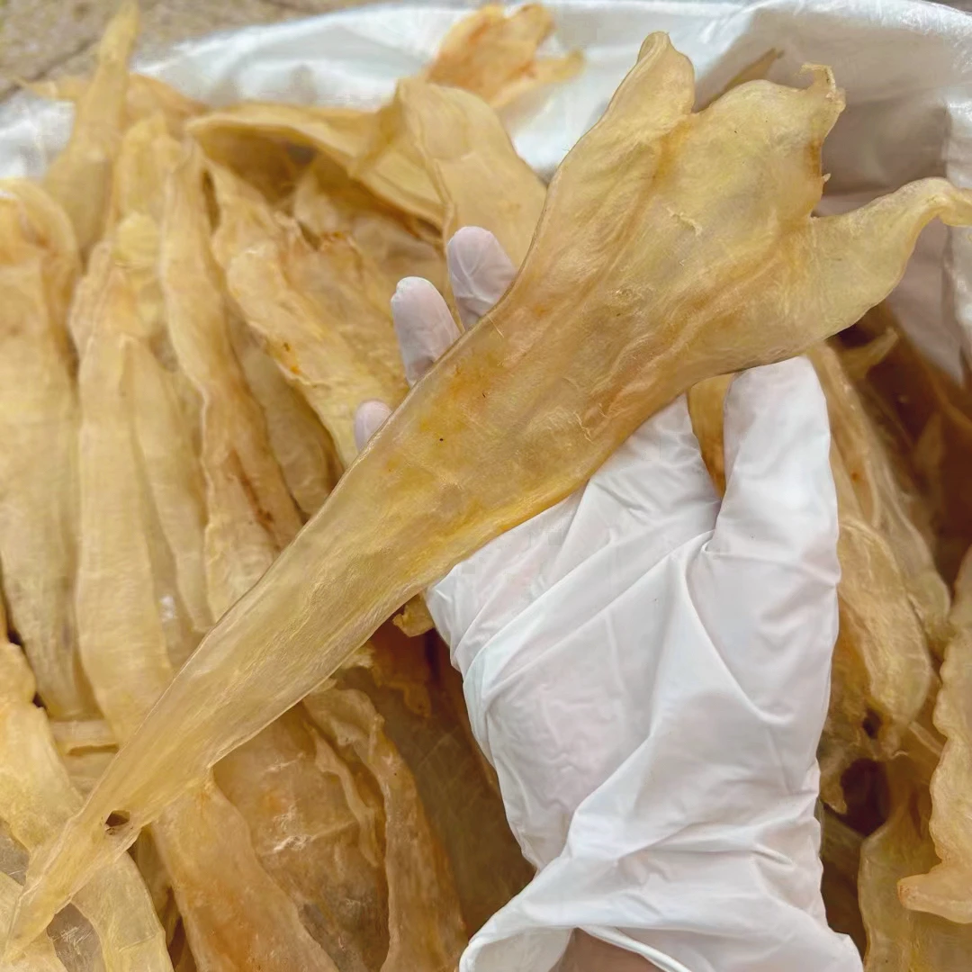 足干北海阴阳胶滋补 送长辈领导佳品 秋冬滋补品